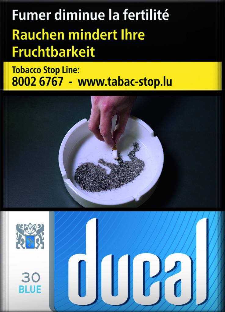 Ducal Blue 8*30 60,80€