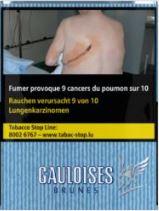 Gauloises Brunes 10*20 74,00€